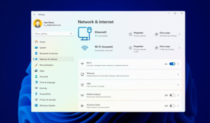 Reset Windows 11 Network Adapter