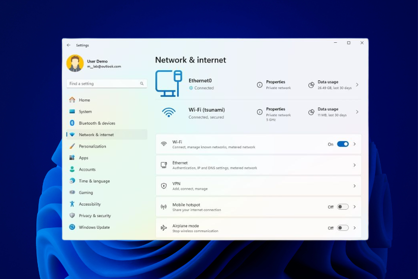 Reset Windows 11 Network Adapter