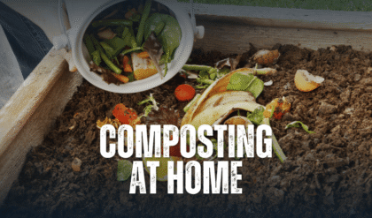 composting at home
