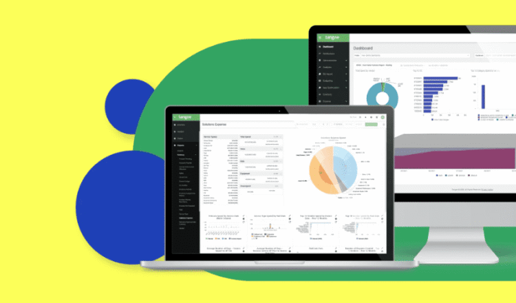 Telecom Expense Management Software