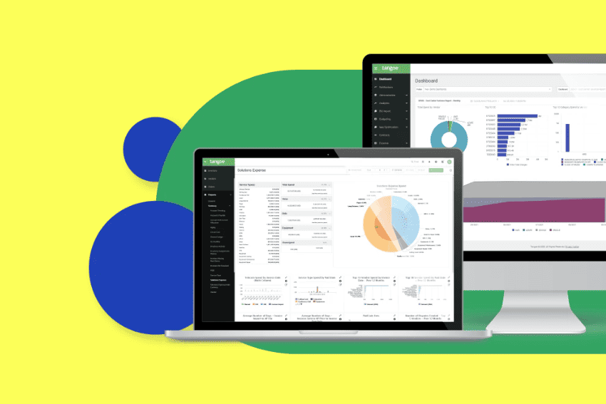 Telecom Expense Management Software